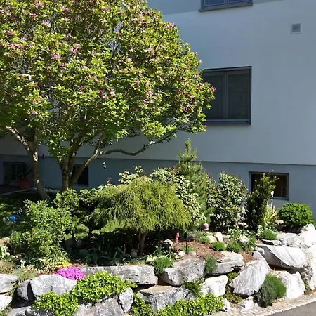 Haus Steinfeld 公寓 *