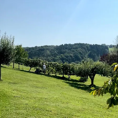 Haus Steinfeld 公寓 Kirchberg an der Raab