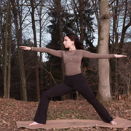 Apartamento Haus Steinfeld Kirchberg an der Raab