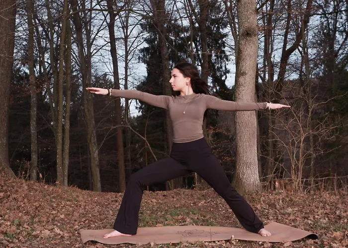 Daire Haus Steinfeld Kirchberg an der Raab