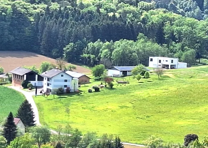Daire Haus Steinfeld Kirchberg an der Raab